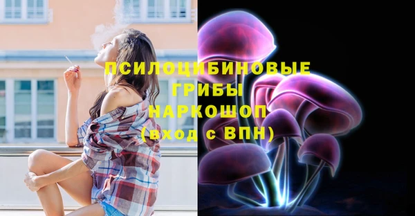 PSILOCYBIN Богородицк