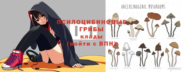 дурь Беломорск
