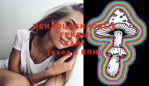 мдпв Белокуриха