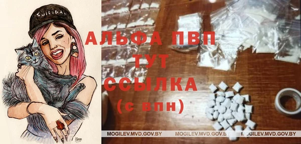 мдпв Белокуриха